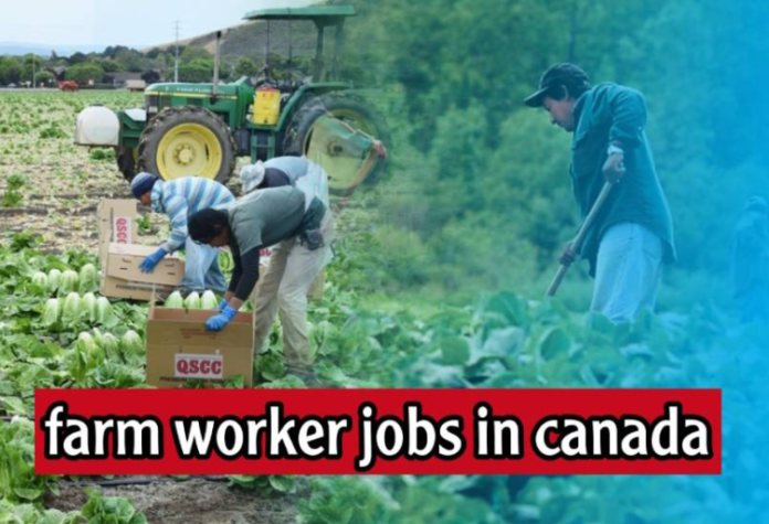 Farm Jobs in Canada with Visa Sponsorship