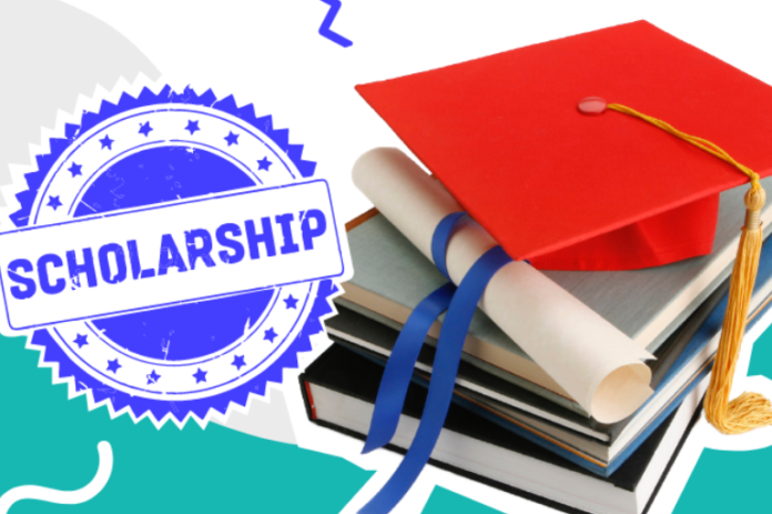 Fully Funded Undergraduate Scholarships in the USA 2024-2025